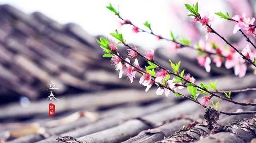 2025立春后还有寒潮吗？倒春寒可能性多大