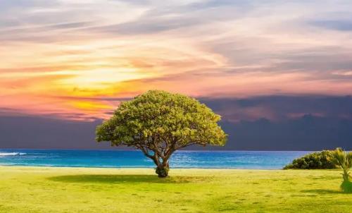 原问题？清明后天气立刻转暖吗