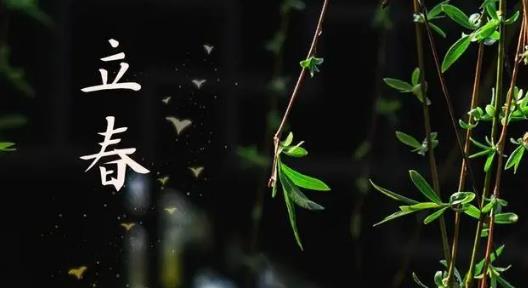 2025立春后多久回暖？倒春寒概率大吗