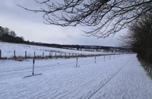 河南2月份会下雪吗？今年春节冷不冷