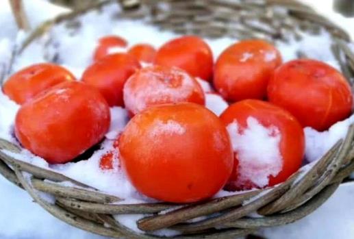 冻柿子能和羊肉一起吃吗?同食会中毒吗