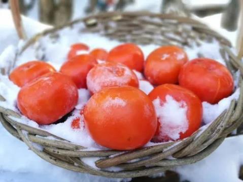 冻柿子螃蟹能一起吃吗?同食会中毒吗