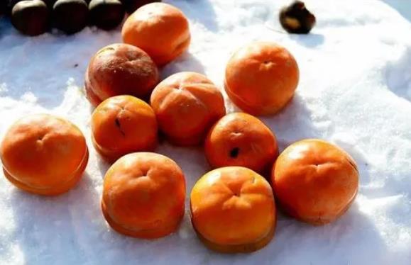 冻柿子可以和酸奶一起吃吗?搭配吃会拉肚子吗