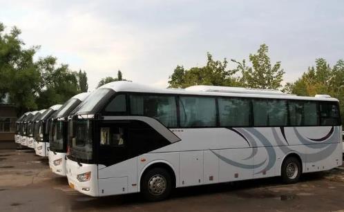 2025年春运长途客车停运吗?如何查询最新班次信息