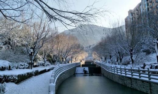 山东元旦前后还有大雪吗？春节会冷到哭吗