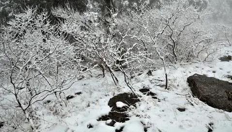 2025年元旦去威海好玩吗？跨年旅行热度如何