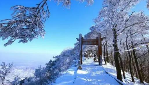 2025年元旦去威海好玩吗?跨年旅行热度如何