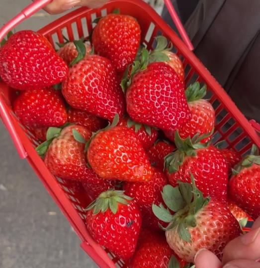 草莓打农药多吗?有毒吗能放心吃吗