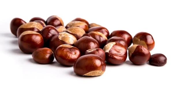 板栗为什么有酒味?还能吃吗