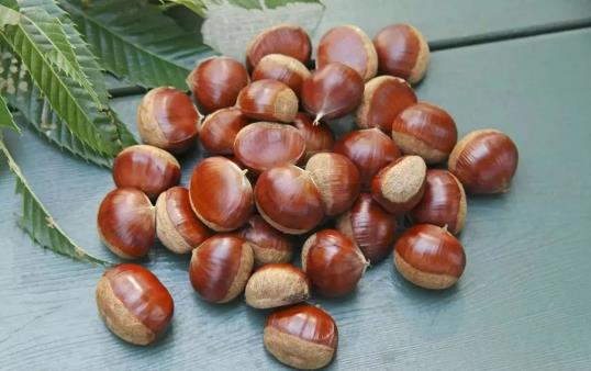 山楂和板栗间隔多久吃最好?同食会胃结石吗