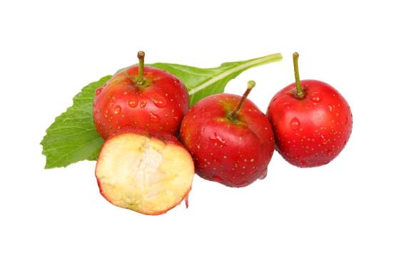 山楂板栗同吃有害?相克真相引热议