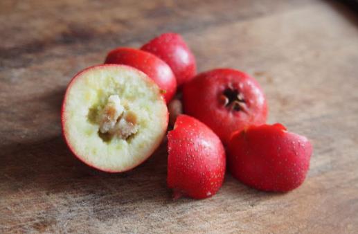 山楂和板栗一起吃会肚子疼吗?如何正确搭配食用