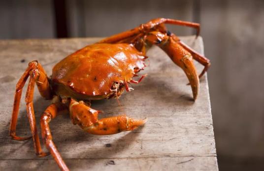 板栗和螃蟹可以一起吃吗?孕妇能吃吗