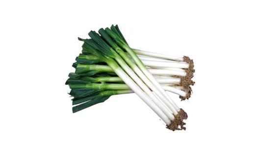 章丘大葱生吃不辣吗?如何挑选更甜