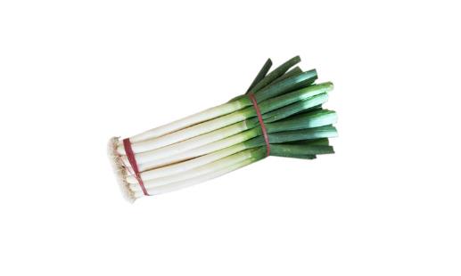 如何区分章丘大葱?真假鉴别方法有哪些