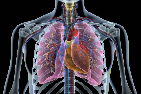 支原体肺炎对肺部危害大吗?如何预防治疗