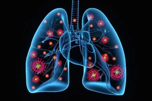 支原体肺炎对肺部危害大吗?如何预防治疗