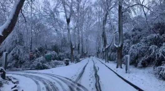 2025年元旦南京一般多少度?天气如何穿衣