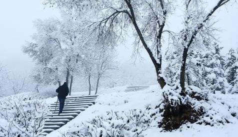 2025年元旦去南京能看到雪吗？南京元旦下雪概率高吗