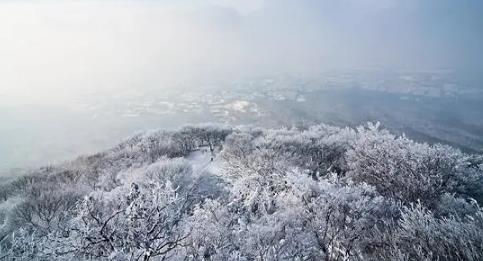 2025年元旦去南京冷吗？跨年穿搭攻略怎么做