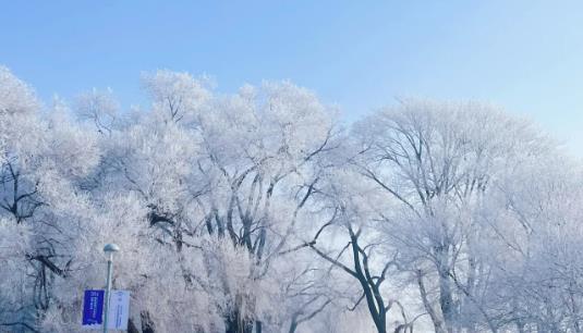 东北雾凇哪里最多?吉林雾凇岛怎么去