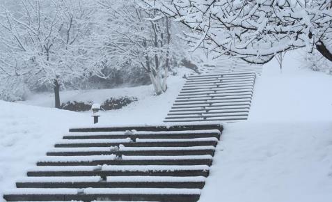 2025春节上海会下雪吗?南方降雪概率大吗