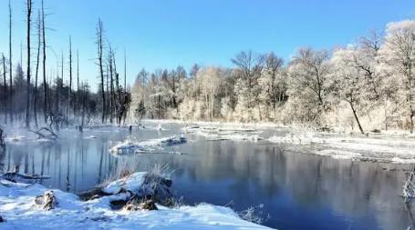 2025年长白山春节温度多少?春节去长白山旅游冷吗