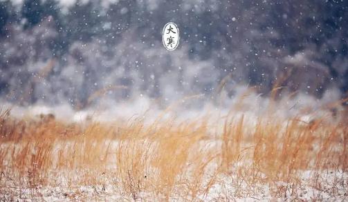 2025年大寒落葬几点好?大寒安葬如何择吉时?