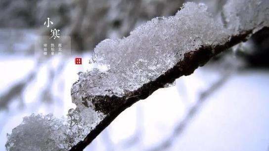2025年小寒是二九还是三九?今年何时最冷