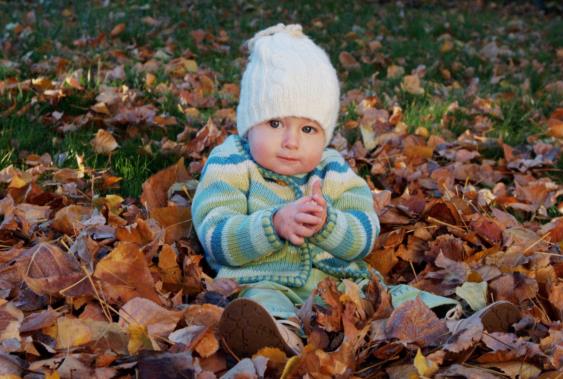 2025本命年生孩子好吗?属牛运势如何