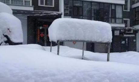 2025年元旦去哈尔滨冷不冷?冰雪大世界门票怎么预约