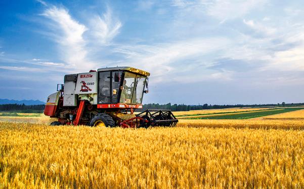 2025年是丰收年吗?粮食产量如何