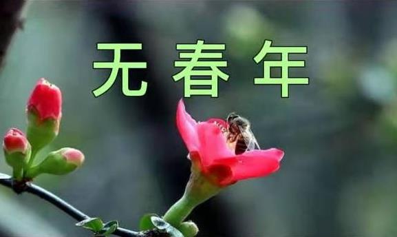 2025年有几个春？双春年有何特别之处