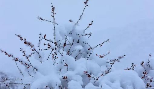 2025年12月老君山会下雪吗？冬季旅游天气如何