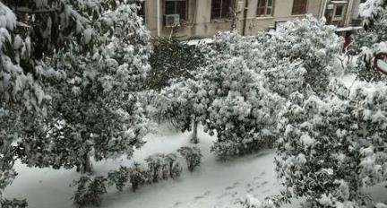 2025年12月老君山会下雪吗?冬季旅游天气如何