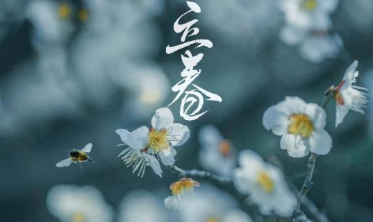 2025年立春是农历哪一天星期几？立春后天气还冷吗