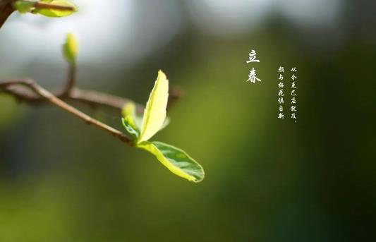 2025年有春还是无春？双春年结婚好吗