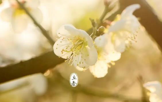 2025立春在春节前吗？有何习俗讲究