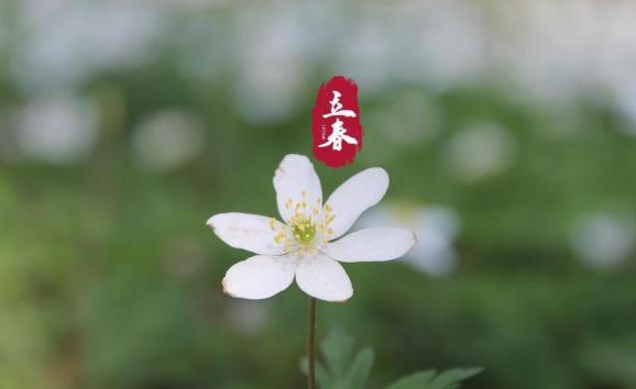 2025立春在春节前吗?有何习俗讲究