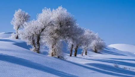 2025年新疆十二月冷吗?冬季旅游要准备什么