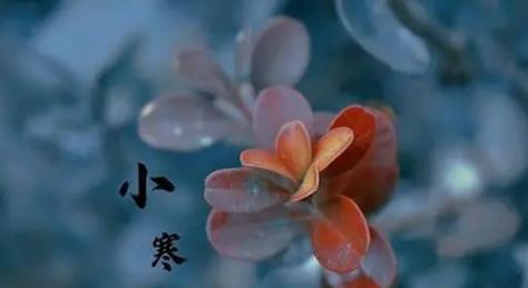 2025年小寒冷还是大寒冷?春节会冻到哭吗