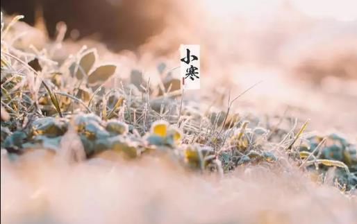 2025年小寒冷还是大寒冷?春节会冻到哭吗