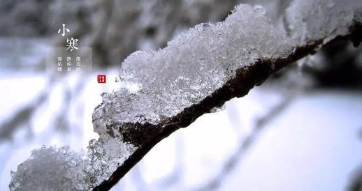 2025年小寒冷吗?春节会遇寒潮吗