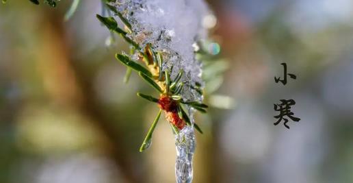 2025年小寒冷吗?春节会遇寒潮吗