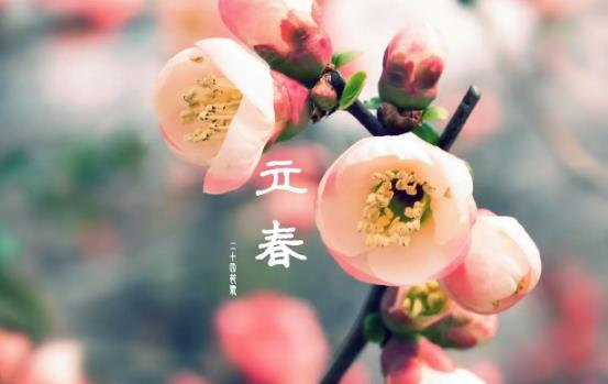 2025年哪天立春？立春时间有何讲究