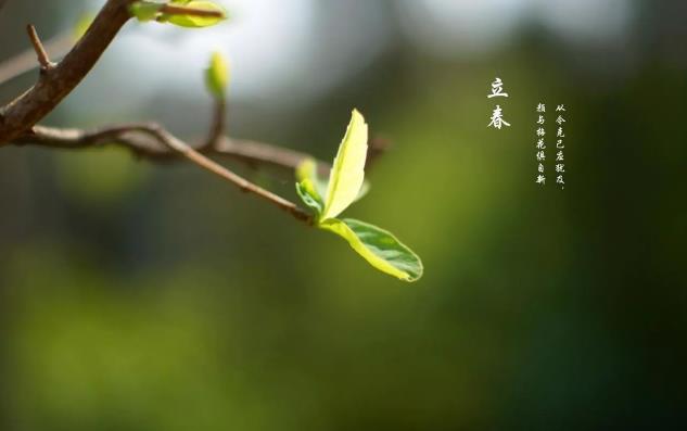 2025年哪天立春?立春时间有何讲究