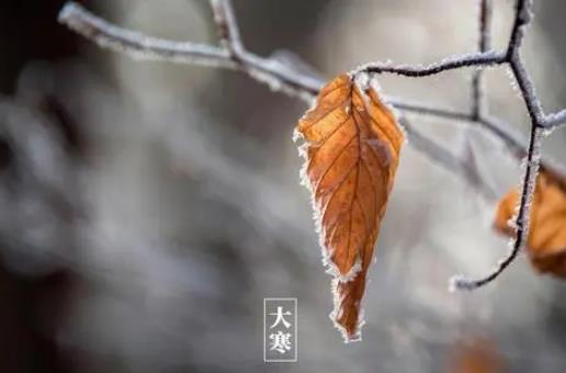 2025年春节会冷吗?大寒遇春运如何保暖