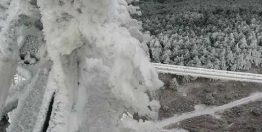 2025年12月上旬还有寒潮吗?冬季气温预测如何