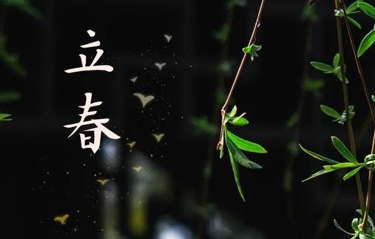 2025年立春是五九尾还是六九头?今年何时打春