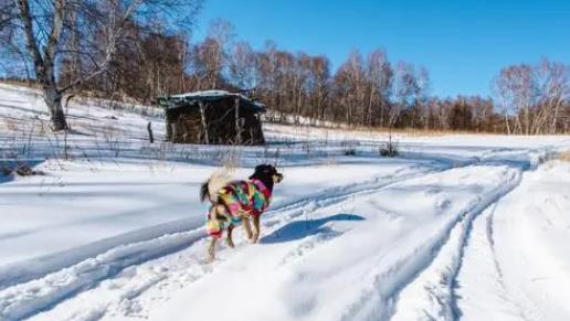 内蒙古12月份多少度2025?冬季旅游穿什么